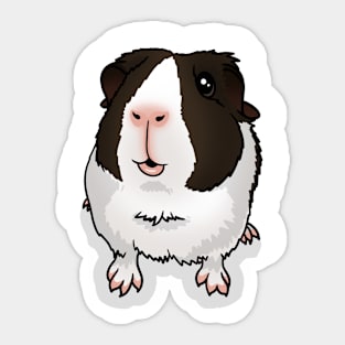 Chocolate Dutch Guinea Pig Sticker